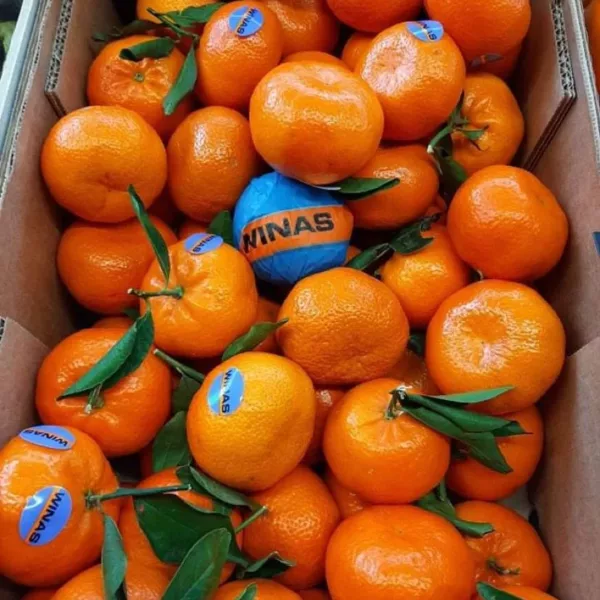 clementines