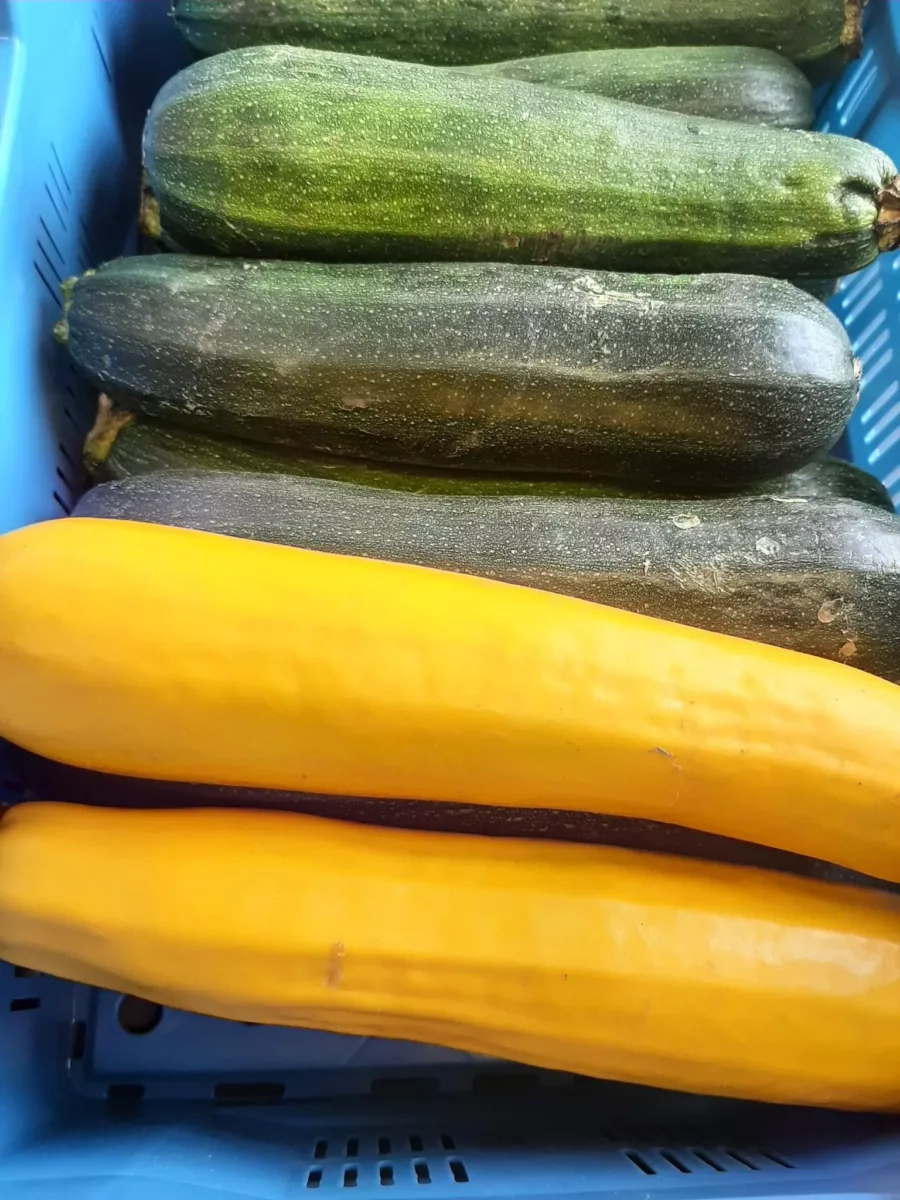 Courgette