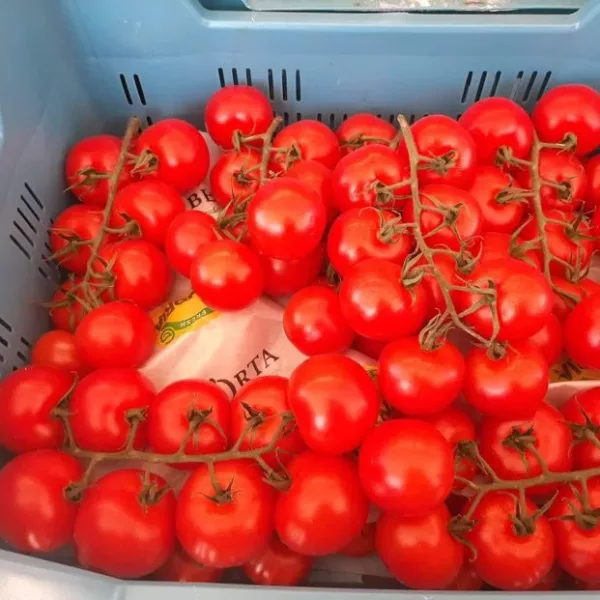 Tomaten 'Mini Star'